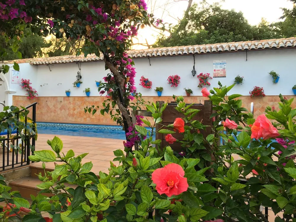 HOTEL: Hotel Carmen Teresa