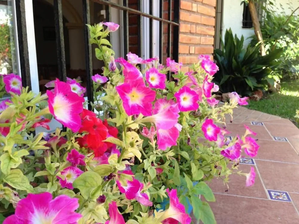 HOTEL: Hotel Carmen Teresa