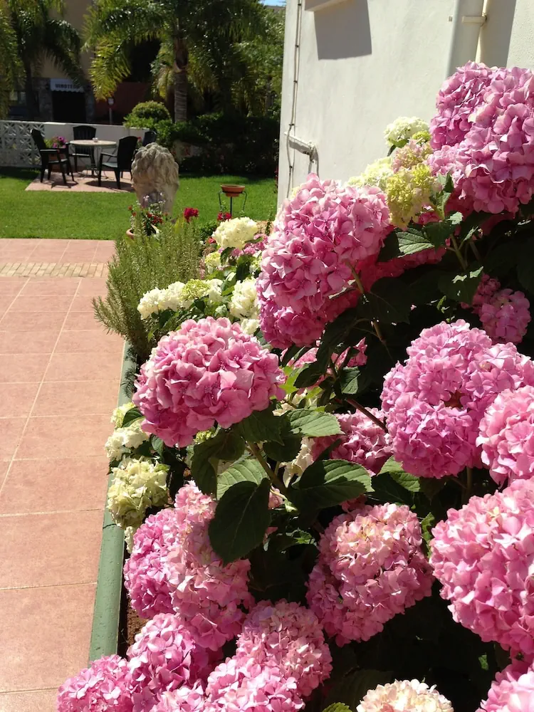 HOTEL: Hotel Carmen Teresa
