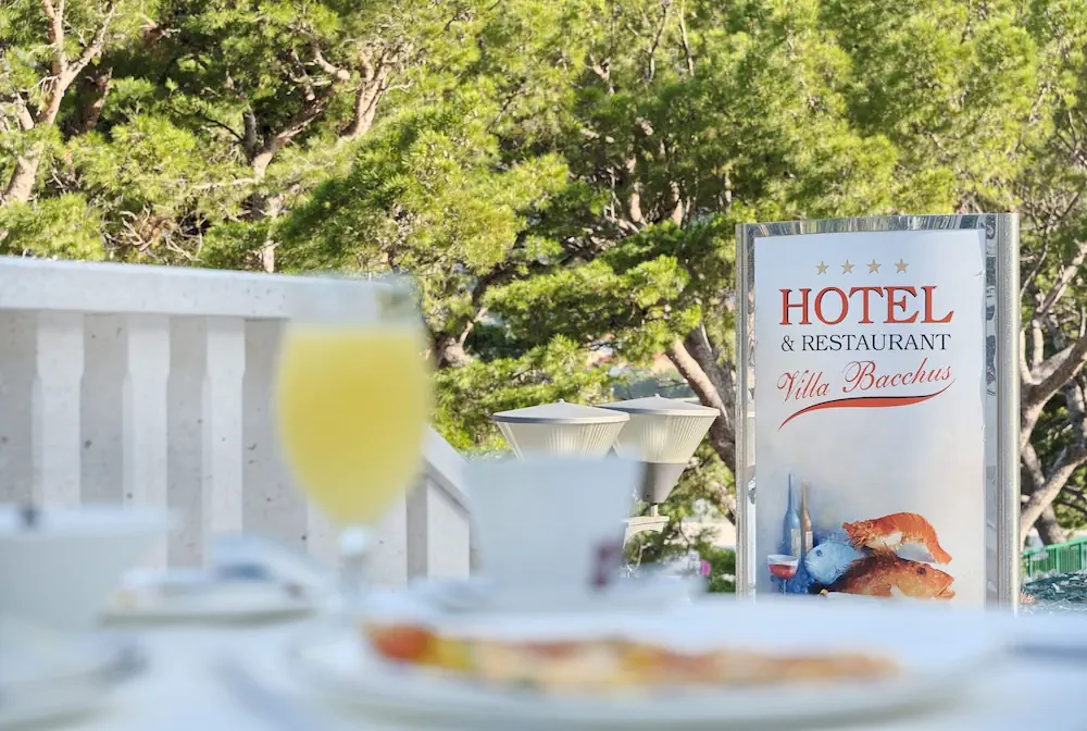 HOTEL: Hotel Bacchus