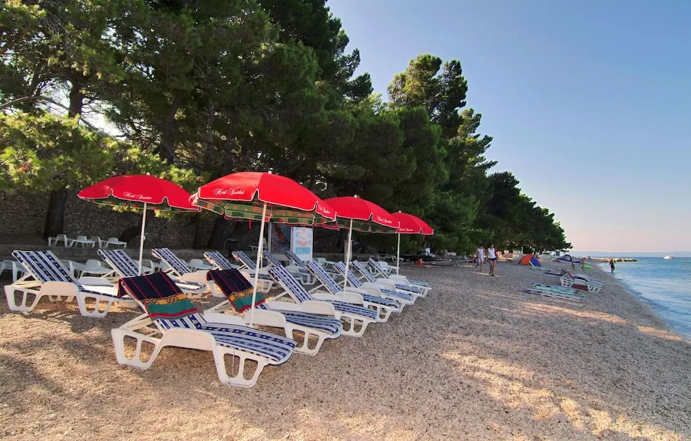 HOTEL: Hotel Bacchus