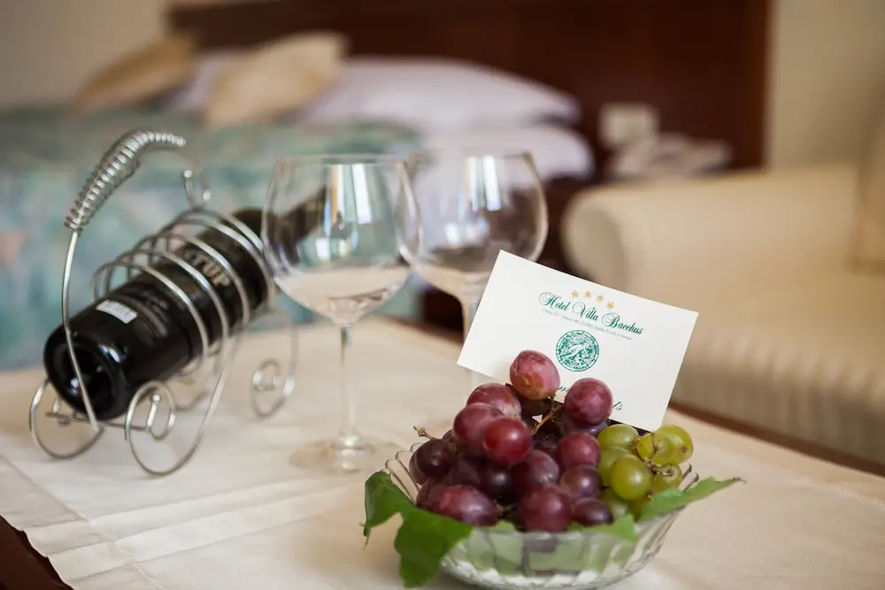 HOTEL: Hotel Bacchus