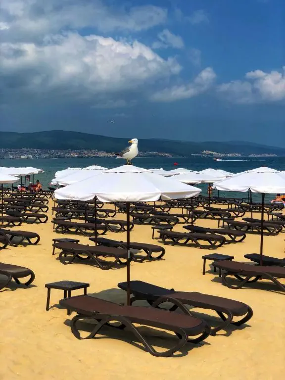 Flamingo Beach photo 2