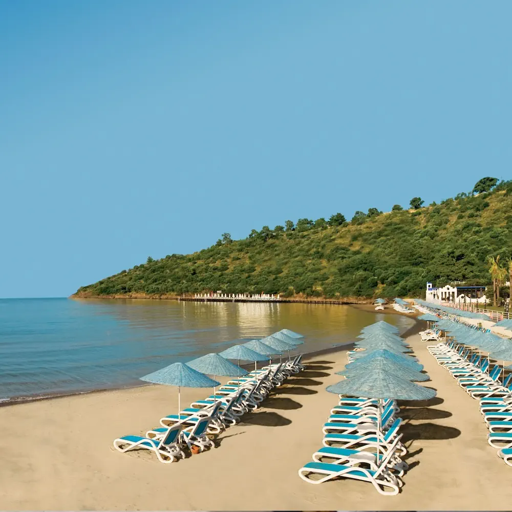 HOTEL: Paloma Pasha - All inclusive