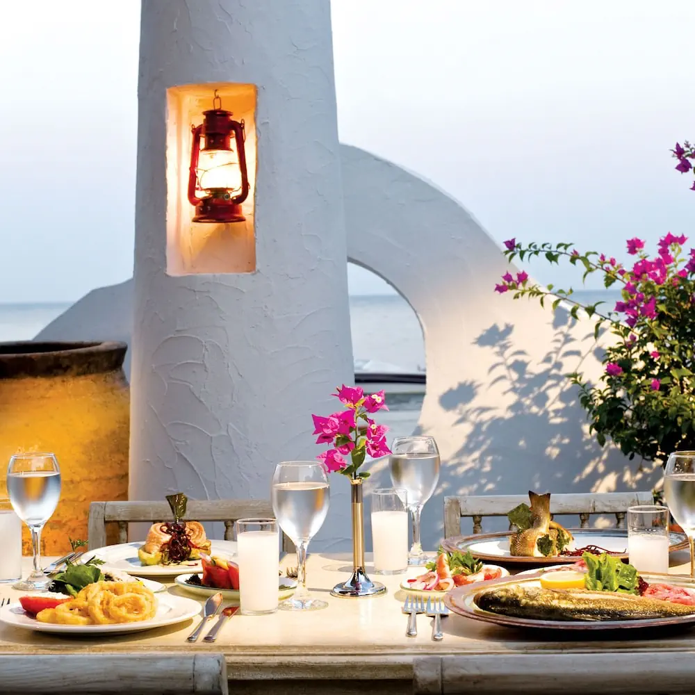 HOTEL: Paloma Pasha - All inclusive