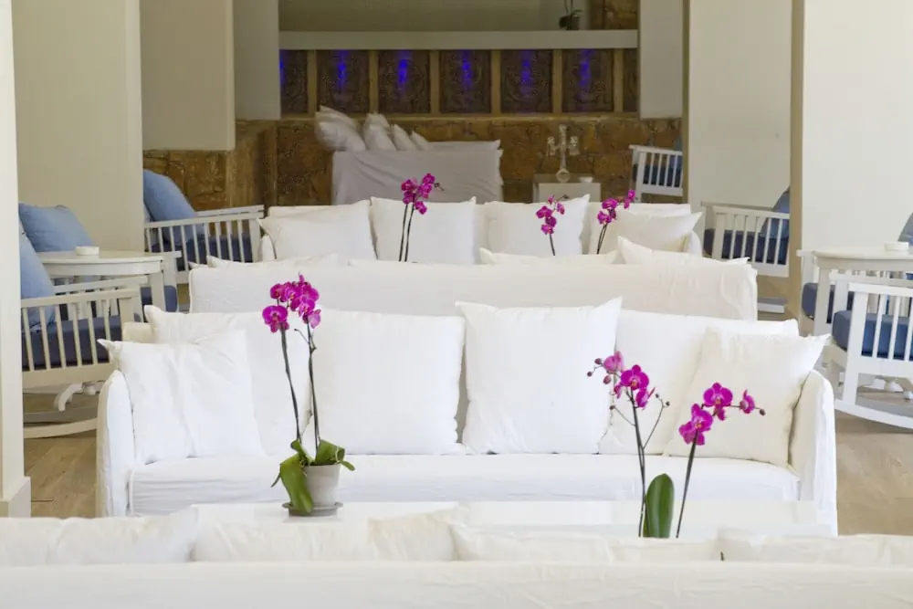 HOTEL: Sandy Beach Hotel and Spa