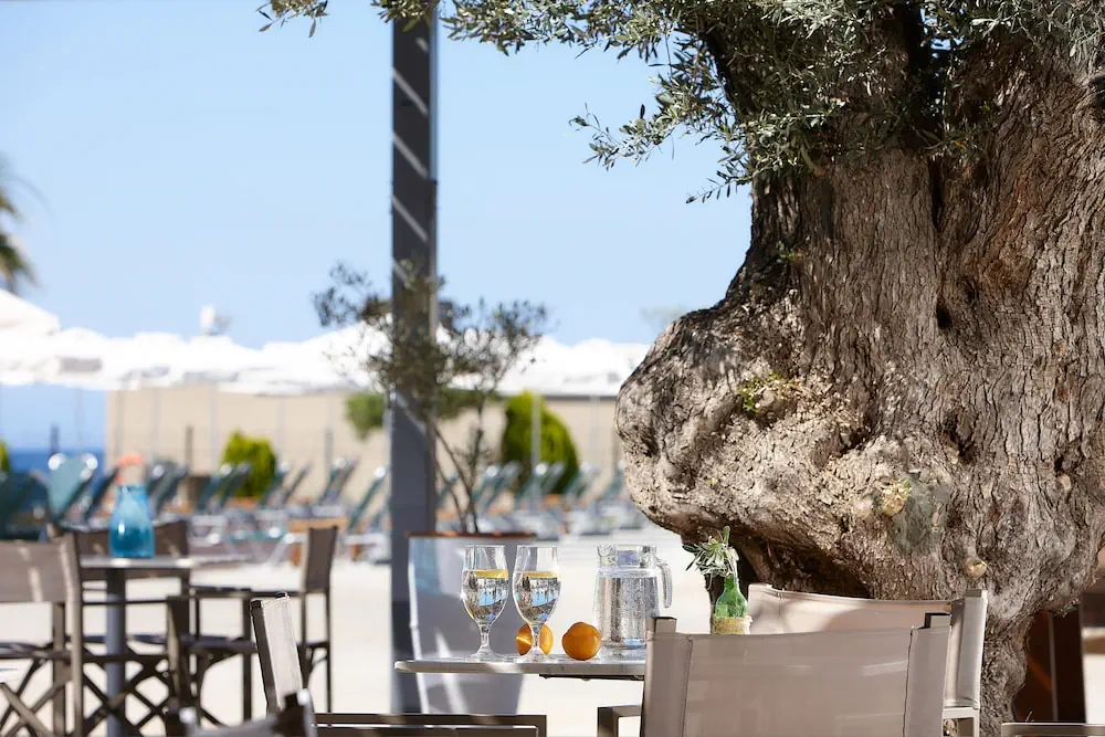 HOTEL: Arminda Hotel and Spa