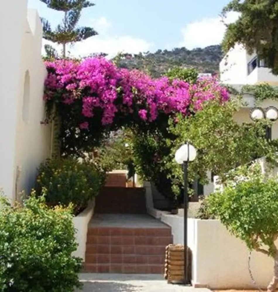 HOTEL: Anastasia Hotel Stalis