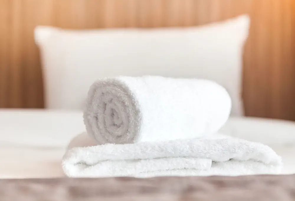 HOTEL: The Blue Ivy Hotel and Suites