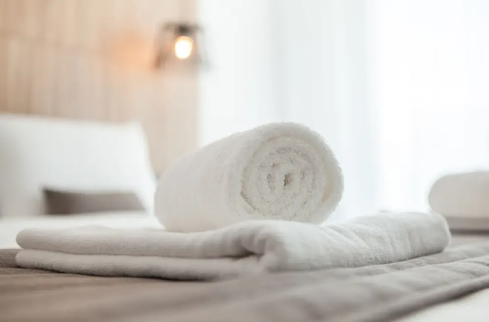 HOTEL: The Blue Ivy Hotel and Suites
