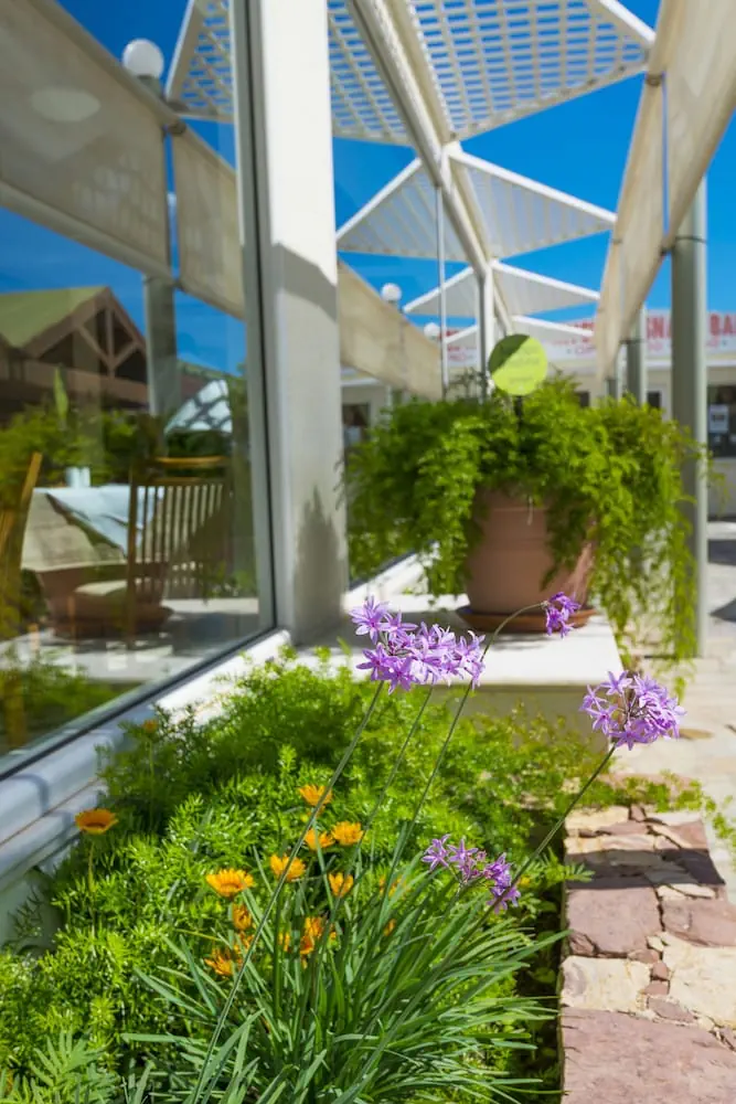 HOTEL: Apollo Beach