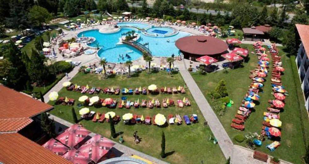 Hrizantema photo 2