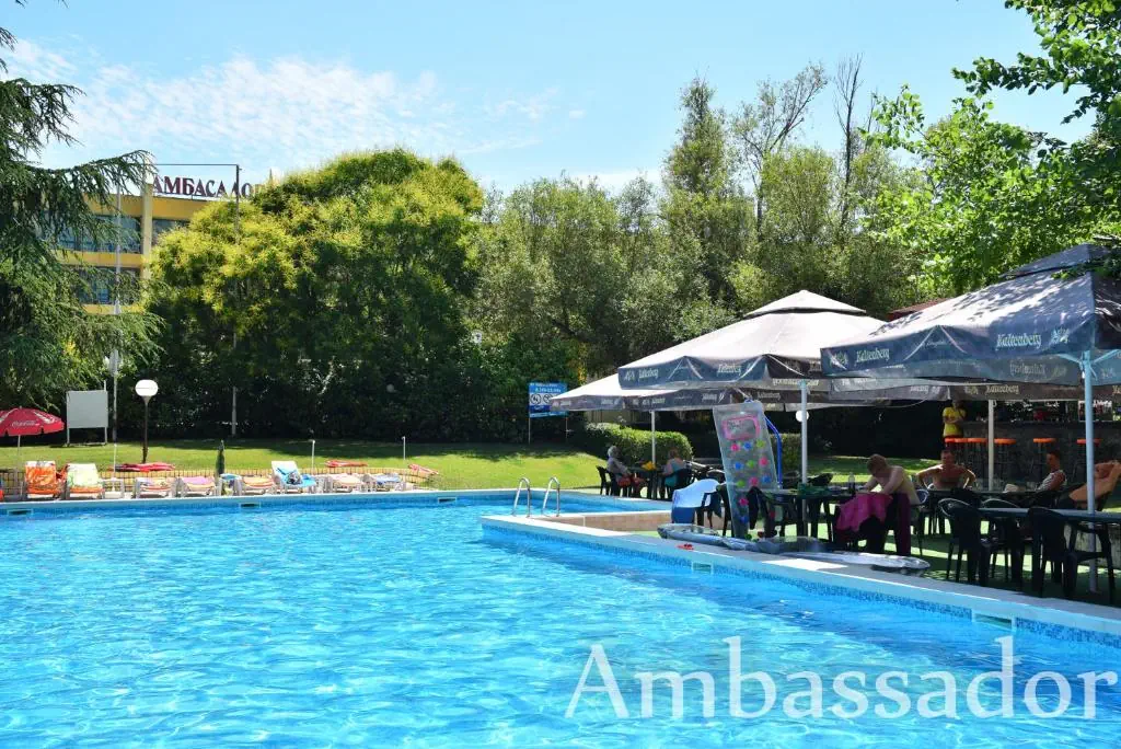 Ambassador