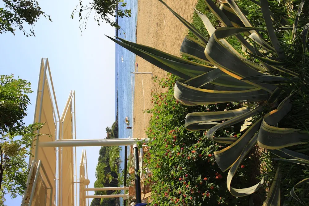 HOTEL: AQI Pegasos Club
