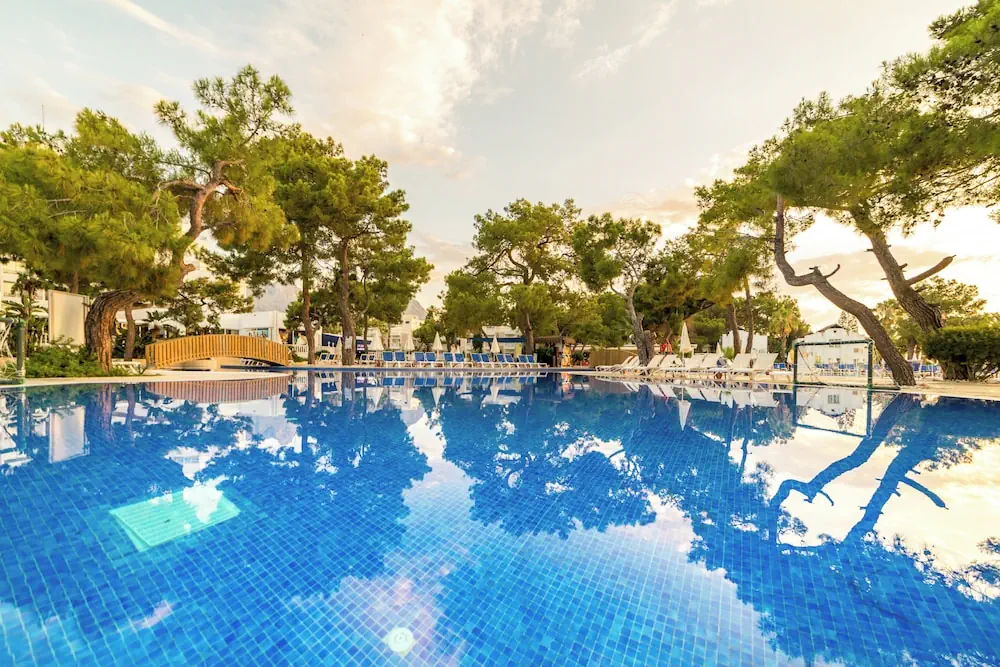 HOTEL: Amara Comfort Resort