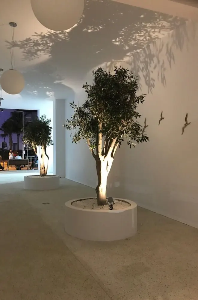 HOTEL: Abacus Suites
