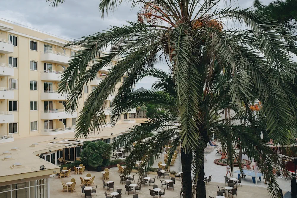 HOTEL: Hotel Ivory Playa Sports and Spa