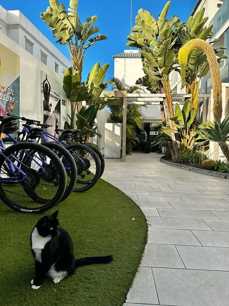 HOTEL: Bristol Sunset Beach