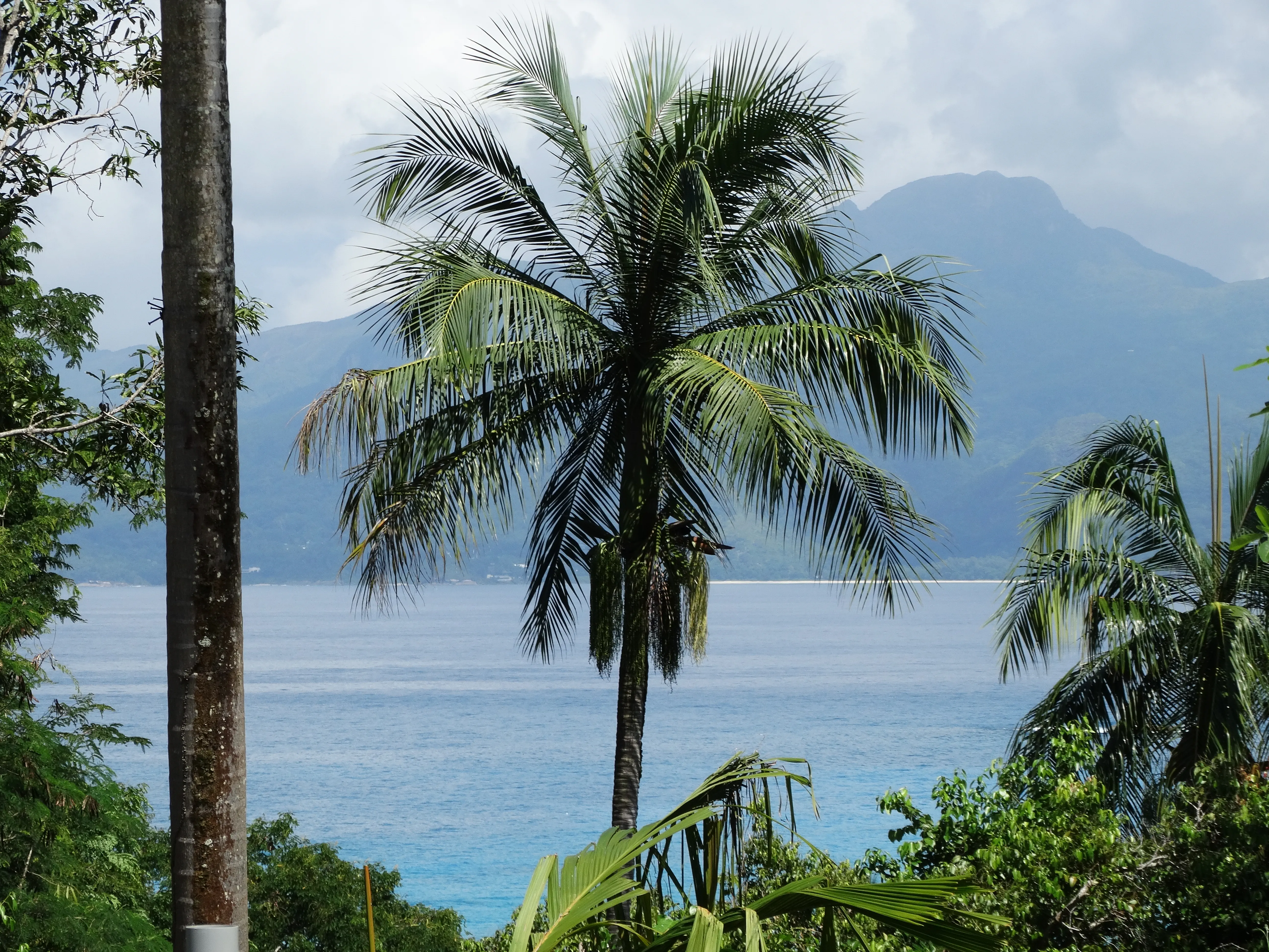 Anse Soleil Beachcomber photo 0