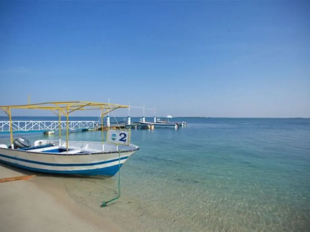 Flamingo Beach Resort (Umm Al Quwain) - zdjęcie 42