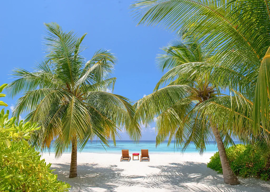 Dhawa Ihuru (ex. Angsana Resort Ihuru) - zdjęcie 23
