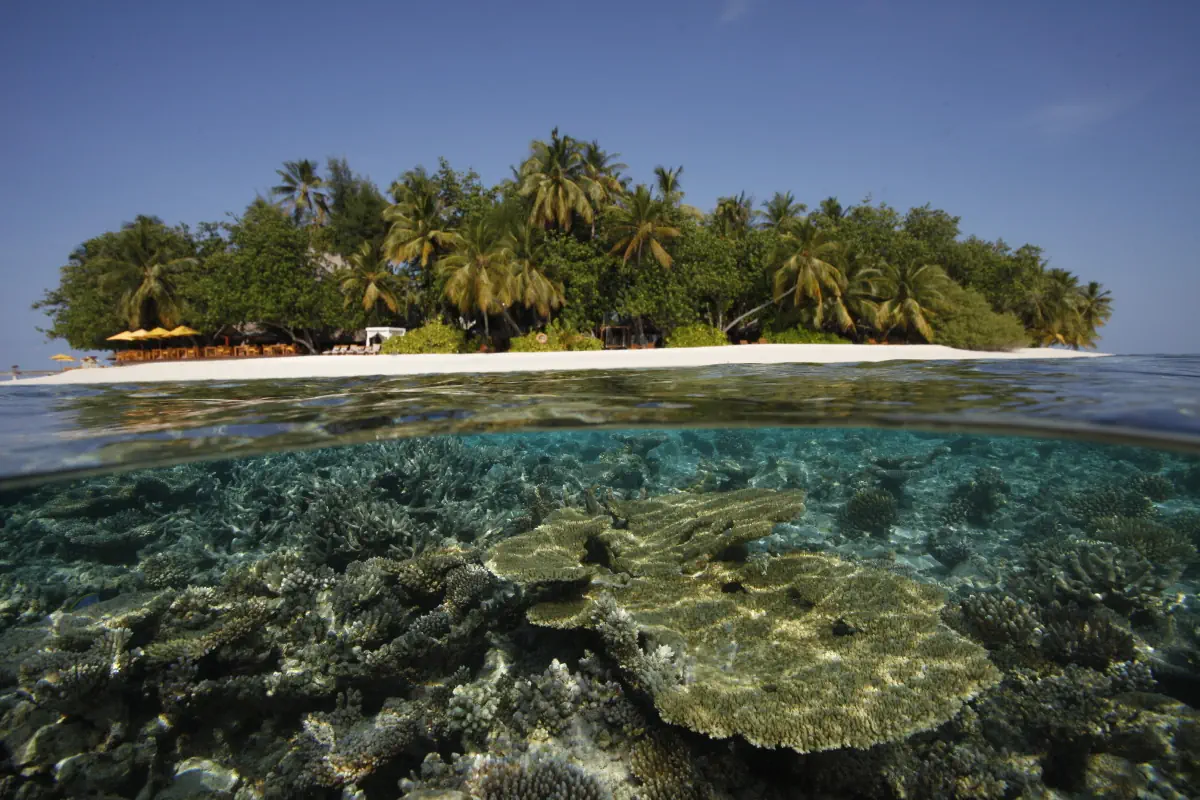 Dhawa Ihuru (ex. Angsana Resort Ihuru) - zdjęcie 22