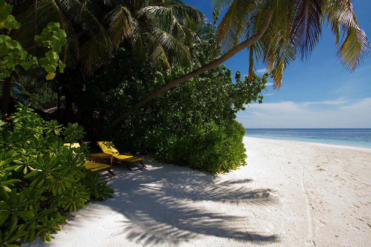 Dhawa Ihuru (ex. Angsana Resort Ihuru) - zdjęcie 24