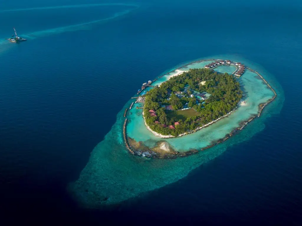 Ellaidhoo Maldives by Cinnamon (ex. Chaaya Reef) - zdjęcie 6