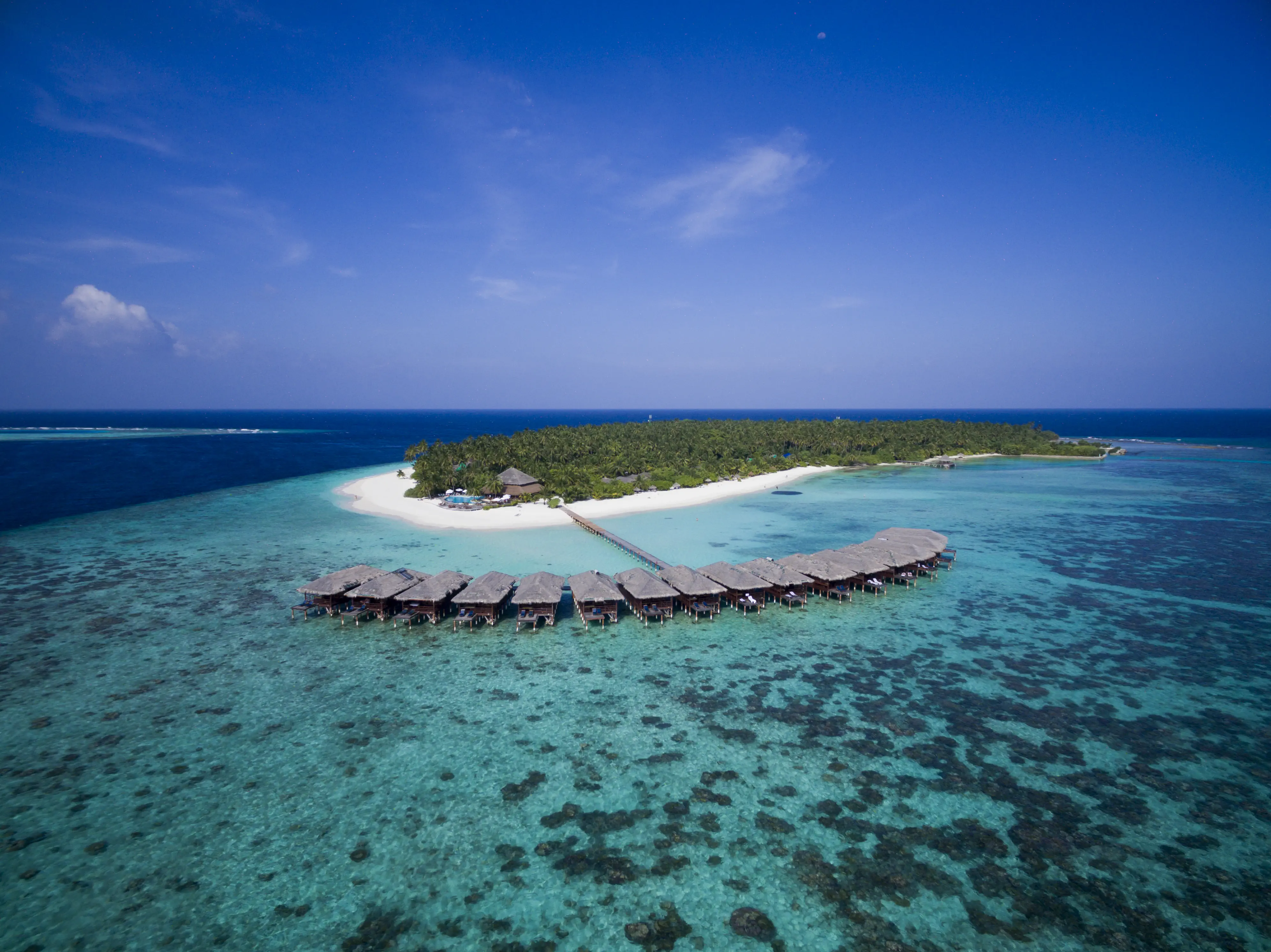 Filitheyo Island Resort photo 1