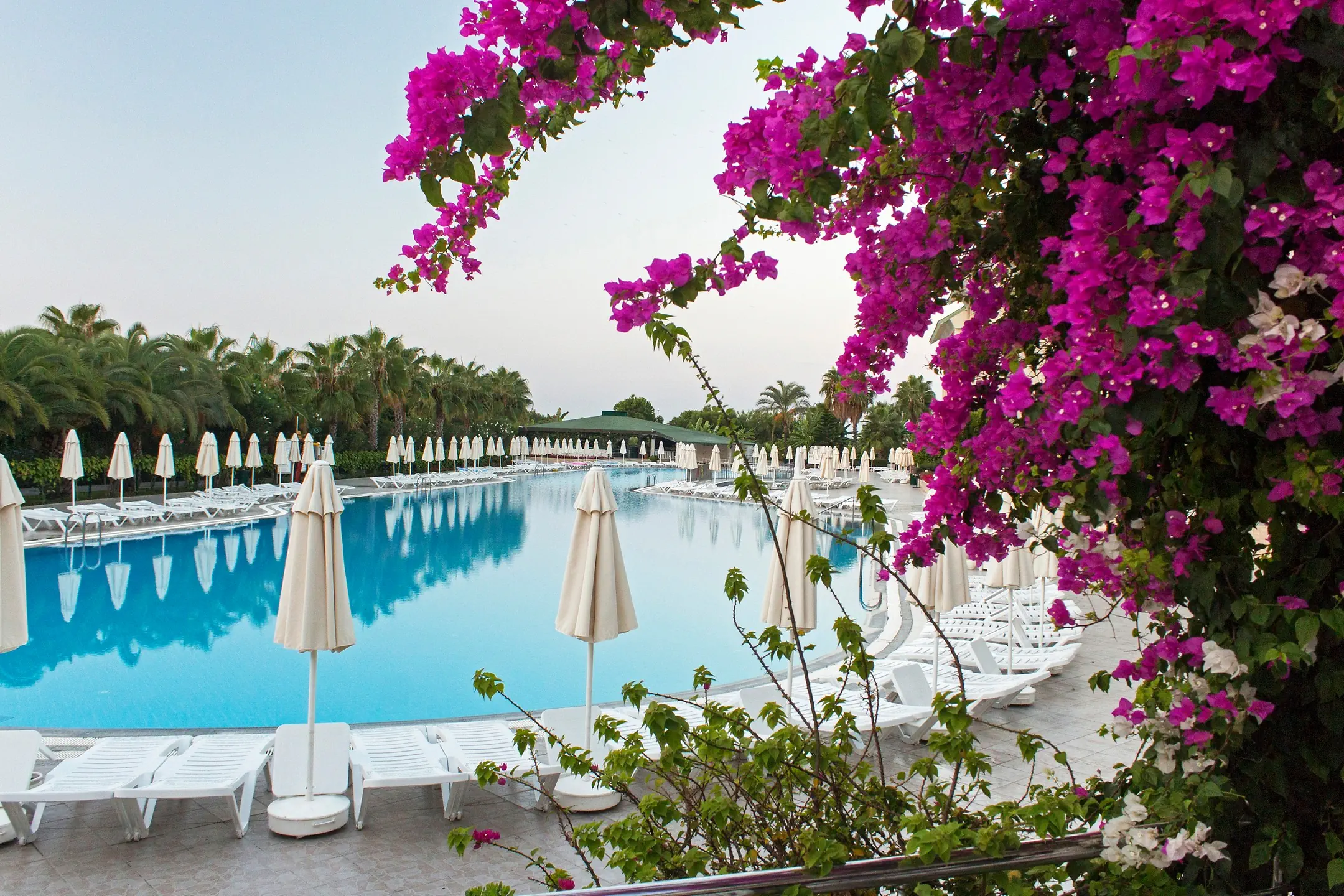 VONResort Elite - zdjęcie 122