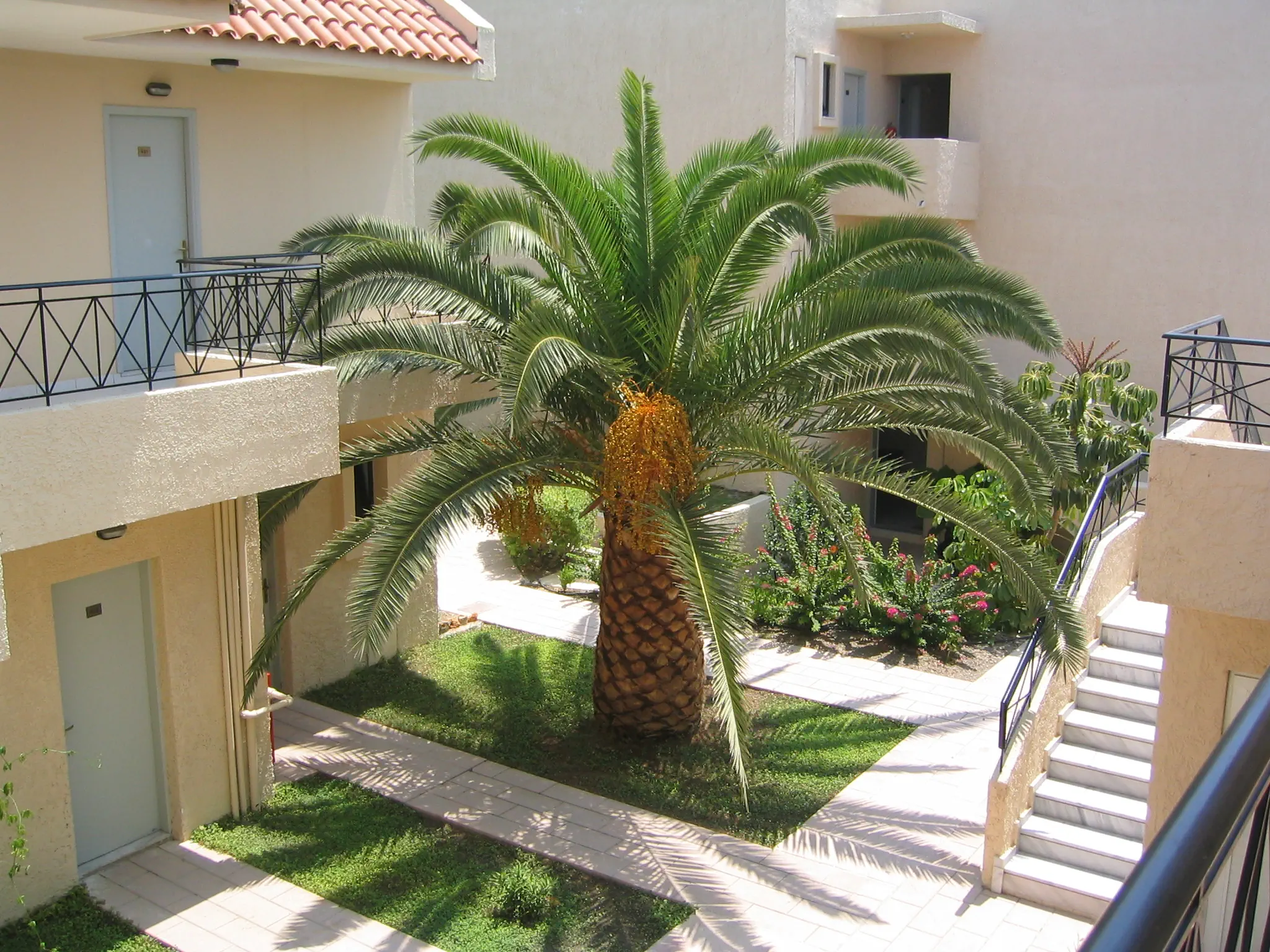Summerland & Bungalows photo 1