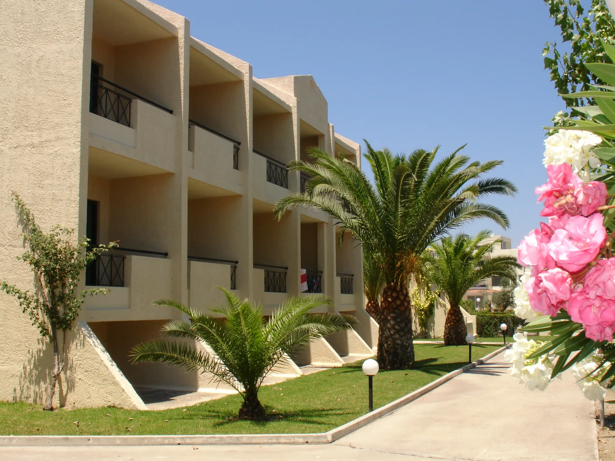 Summerland & Bungalows photo 3