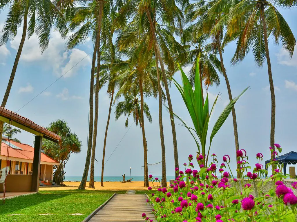 AMAGI BEACH RESORT