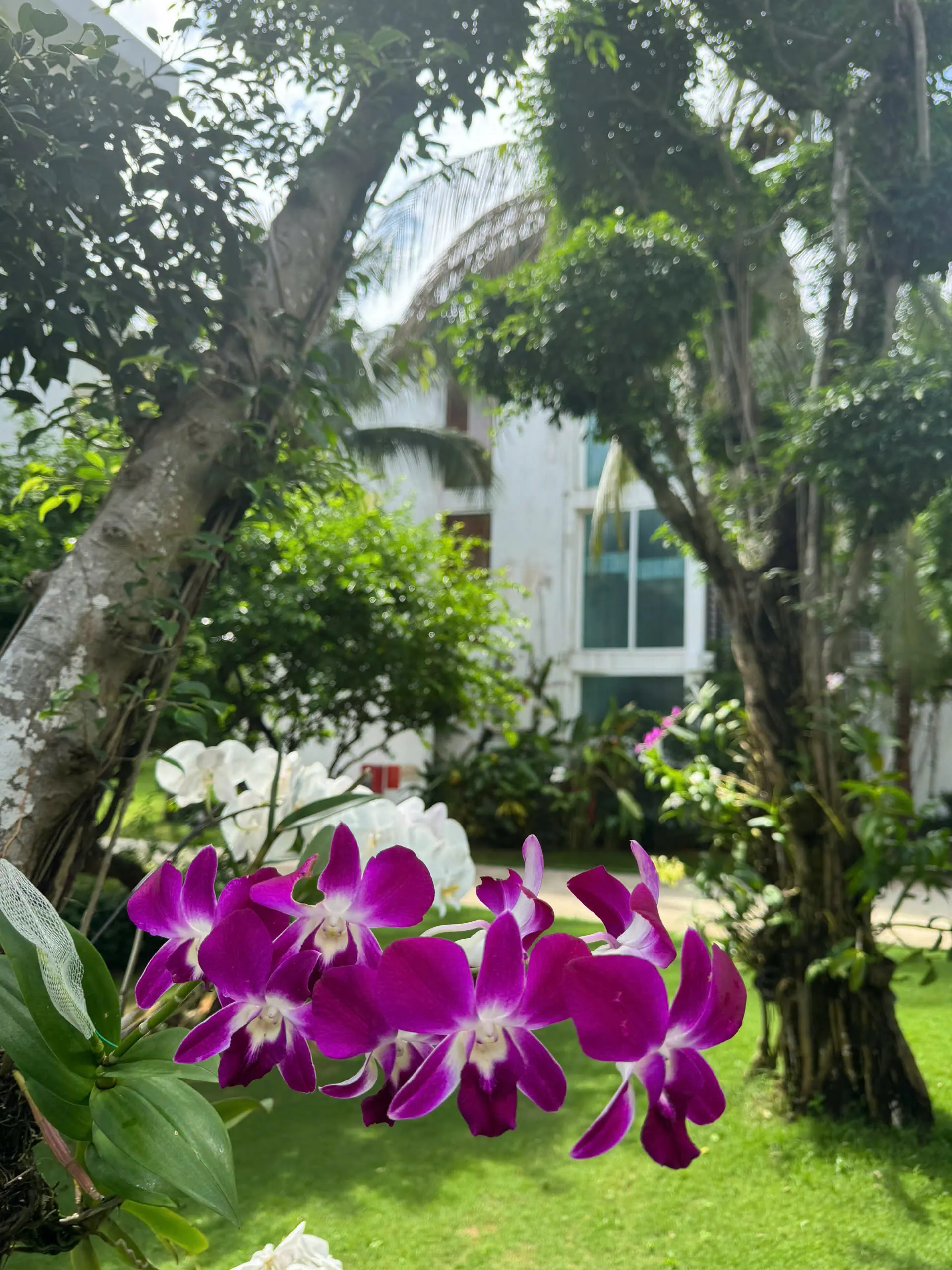 Villa Del Sol Beach - zdjęcie 23