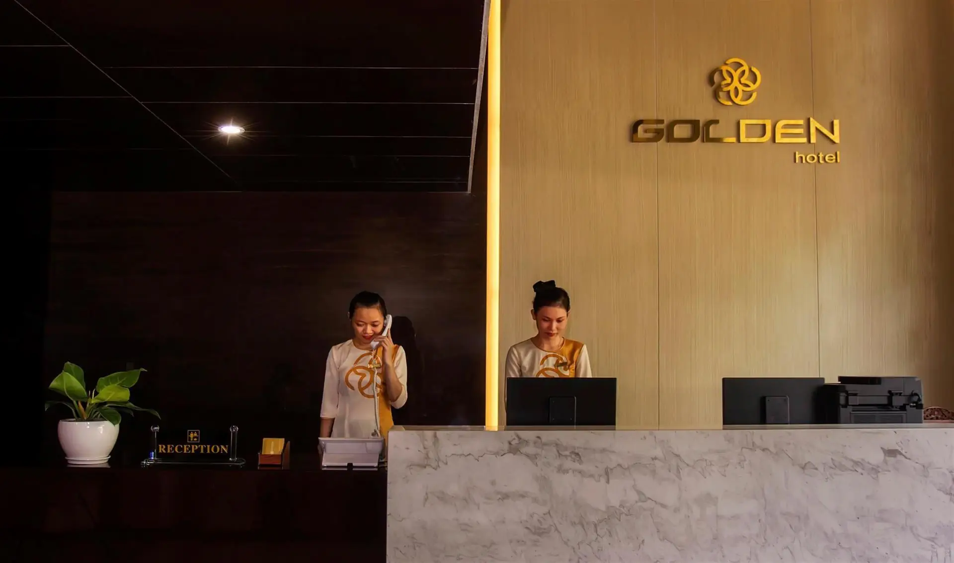Golden - zdjęcie 4