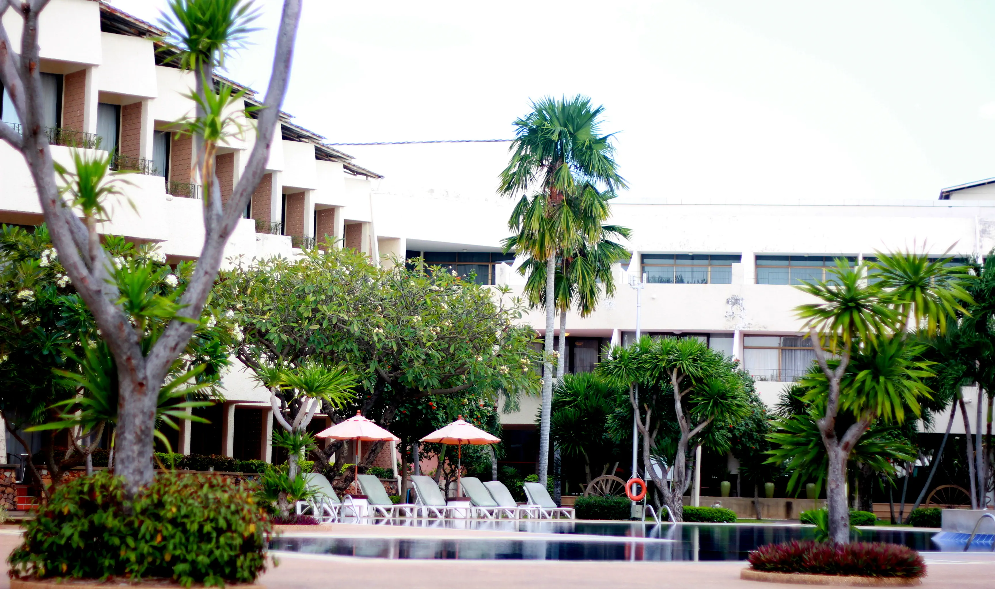 Tropicana Hotel - zdjęcie 63