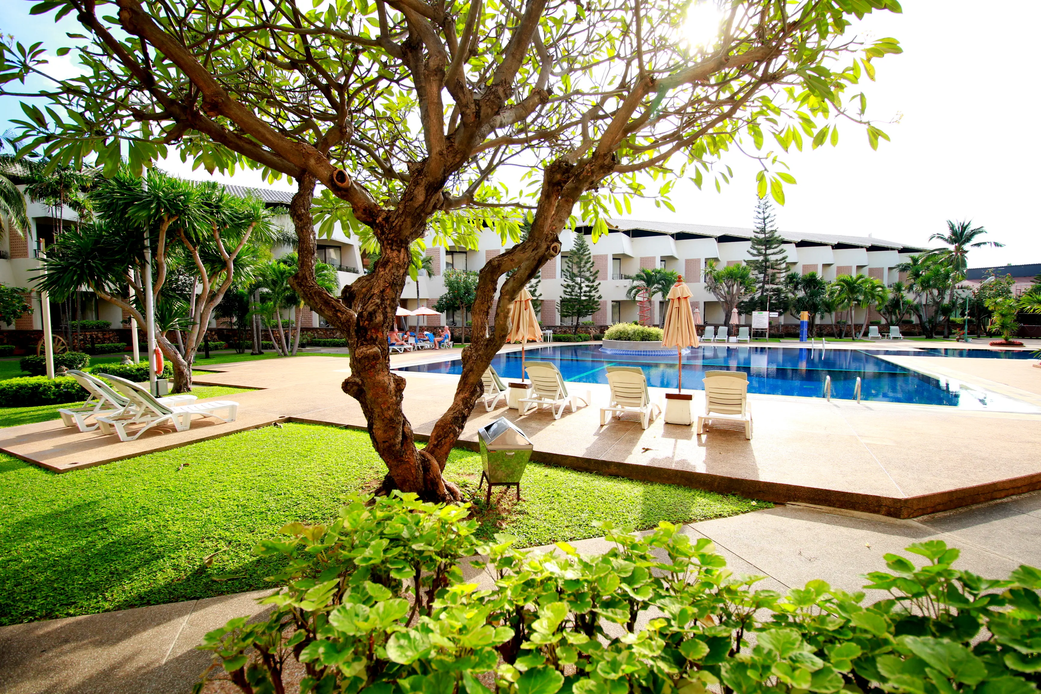 Tropicana Hotel - zdjęcie 65