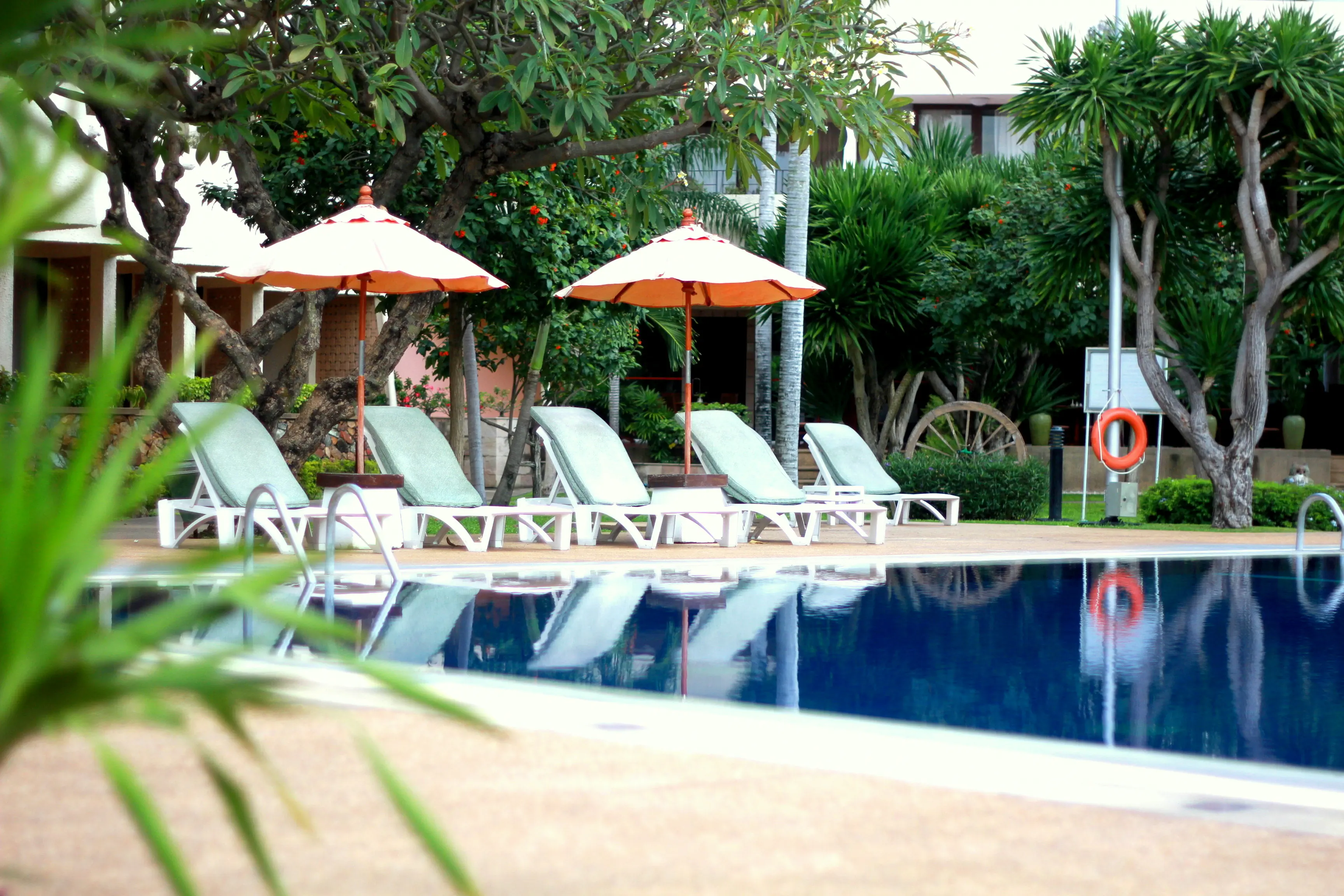 Tropicana Hotel - zdjęcie 62