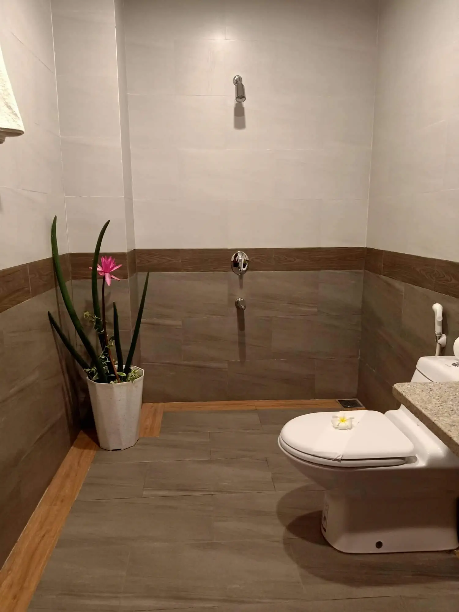 Blue Shell Resort - zdjęcie 41