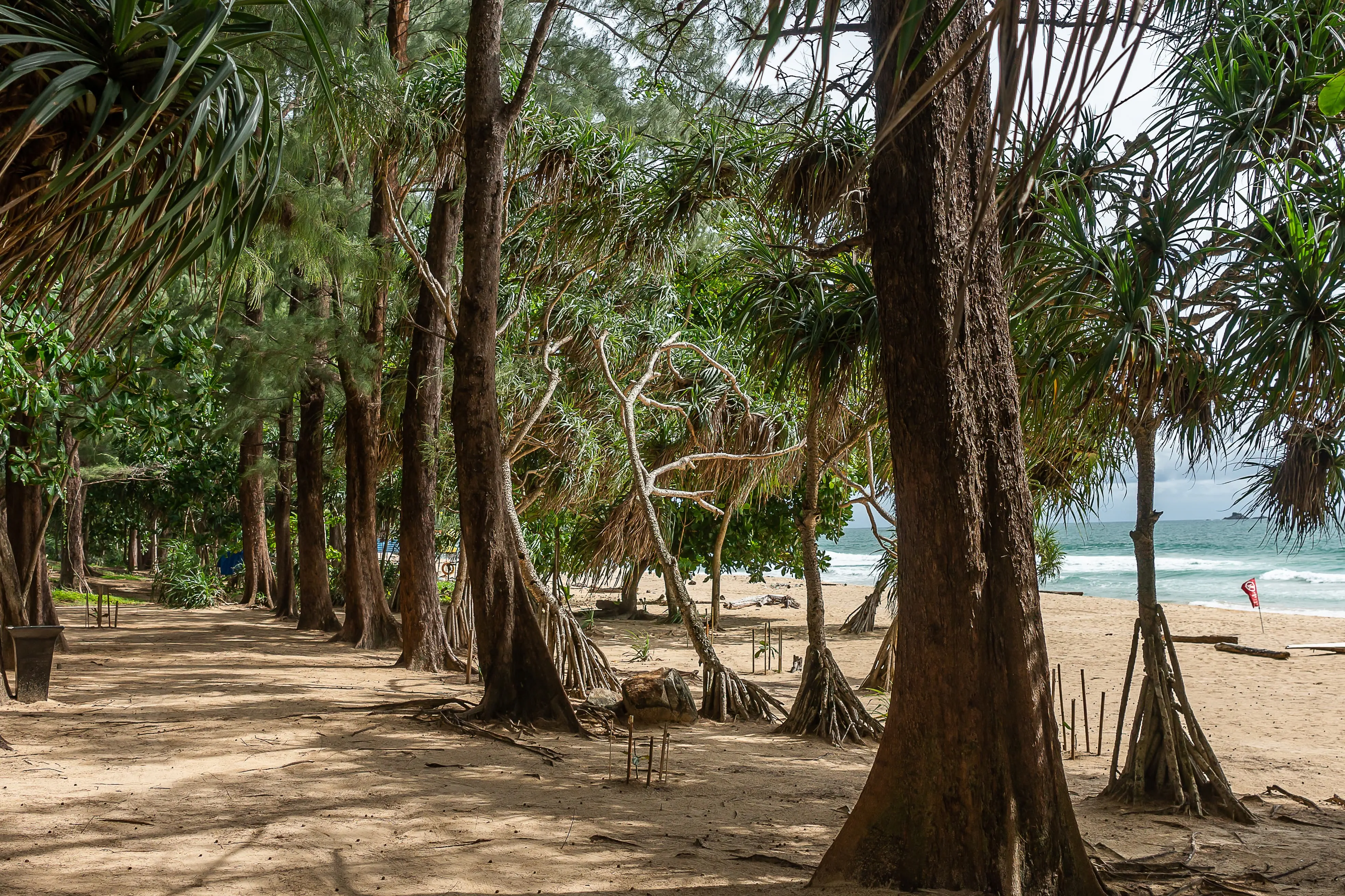 Naithonburi Beach Resort - zdjęcie 57