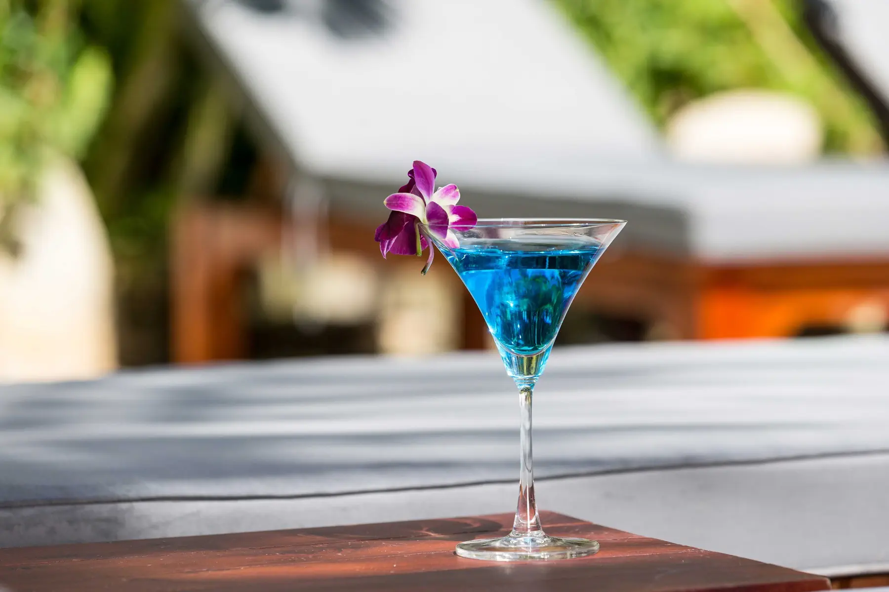 La Paloma Resort - zdjęcie 44
