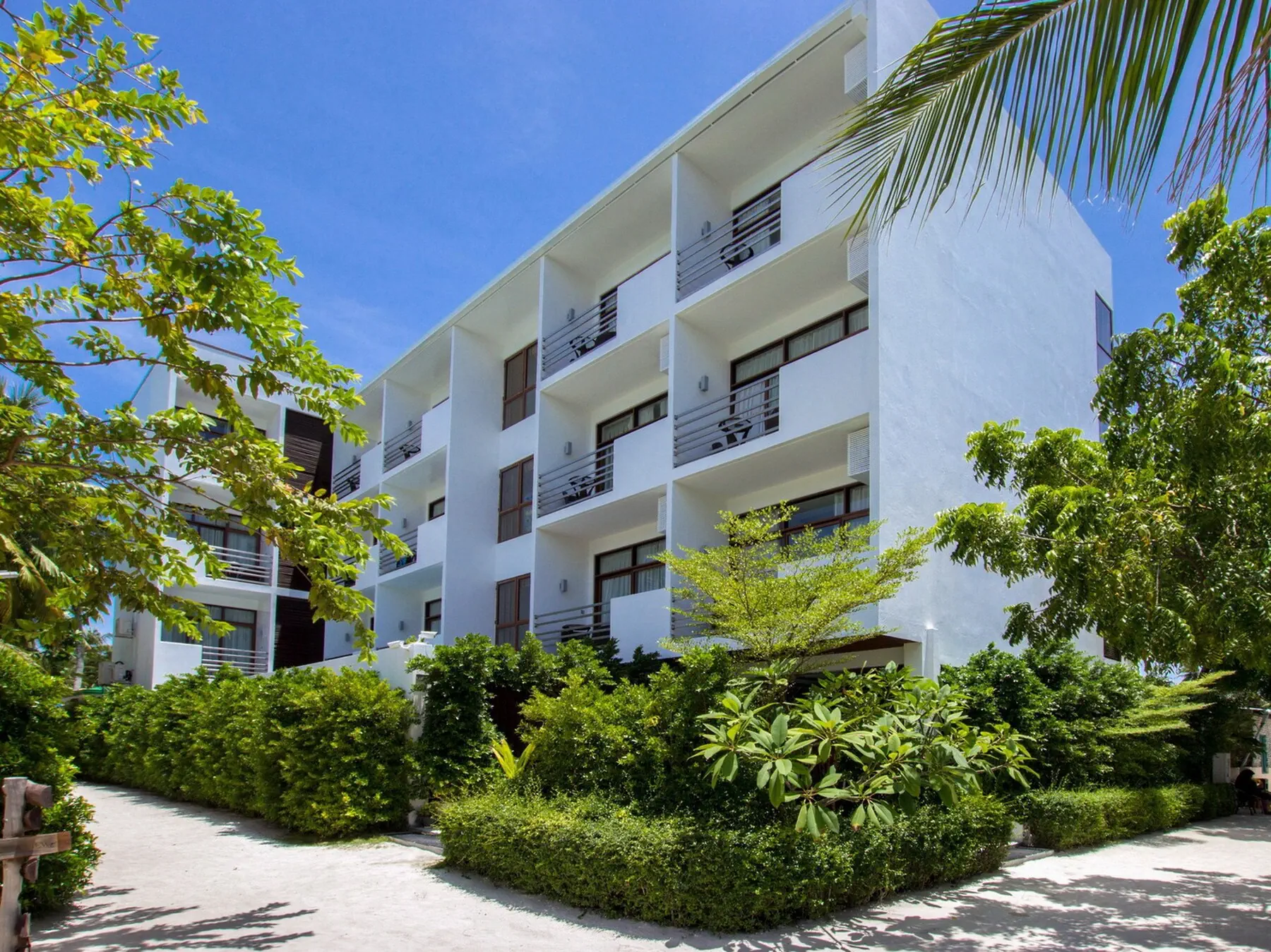 Plumeria Maldives - zdjęcie 5