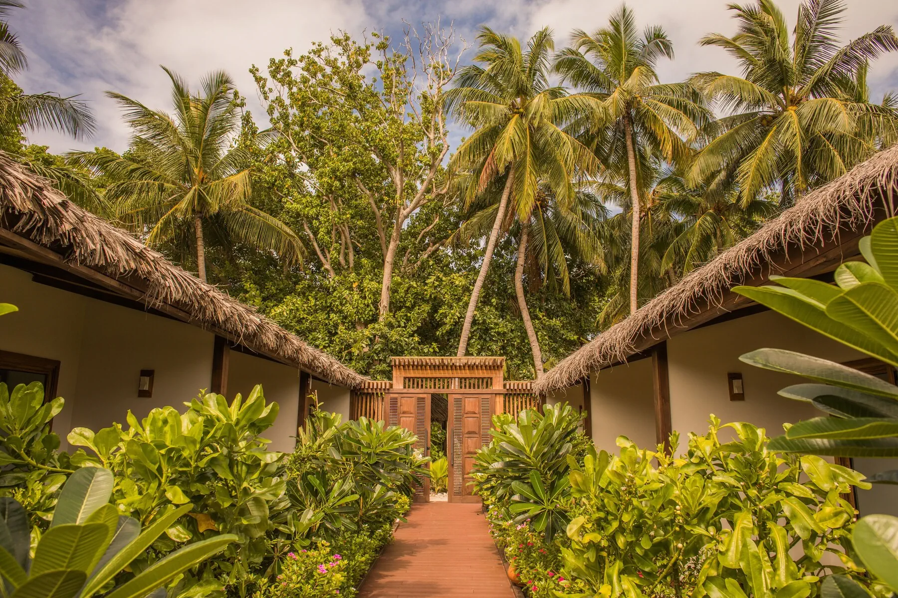 Plumeria Maldives - zdjęcie 4