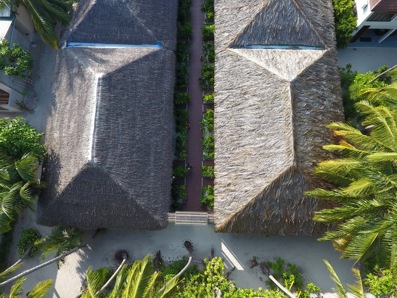 PLUMERIA MALDIVES