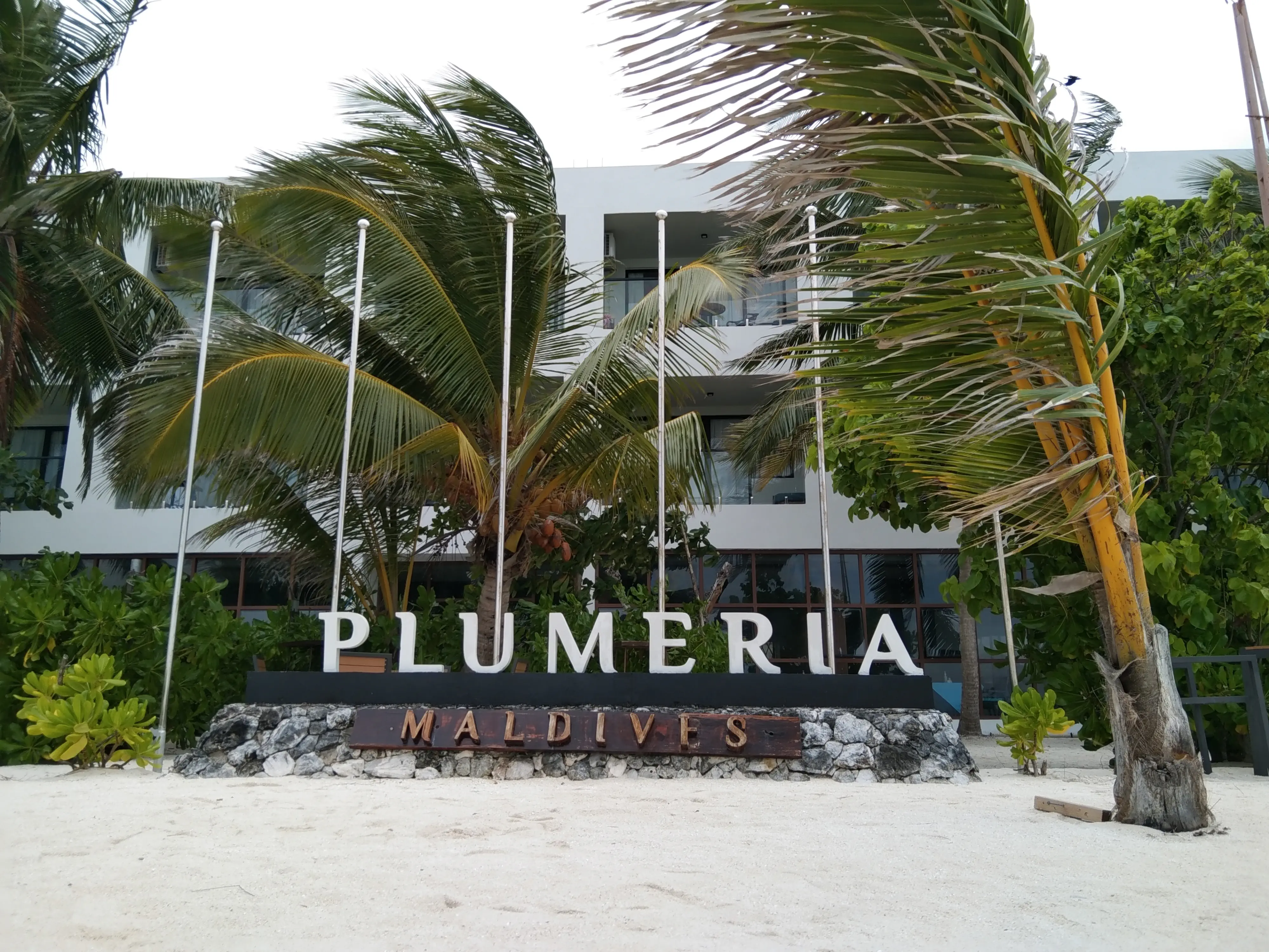 Plumeria Maldives - zdjęcie 10