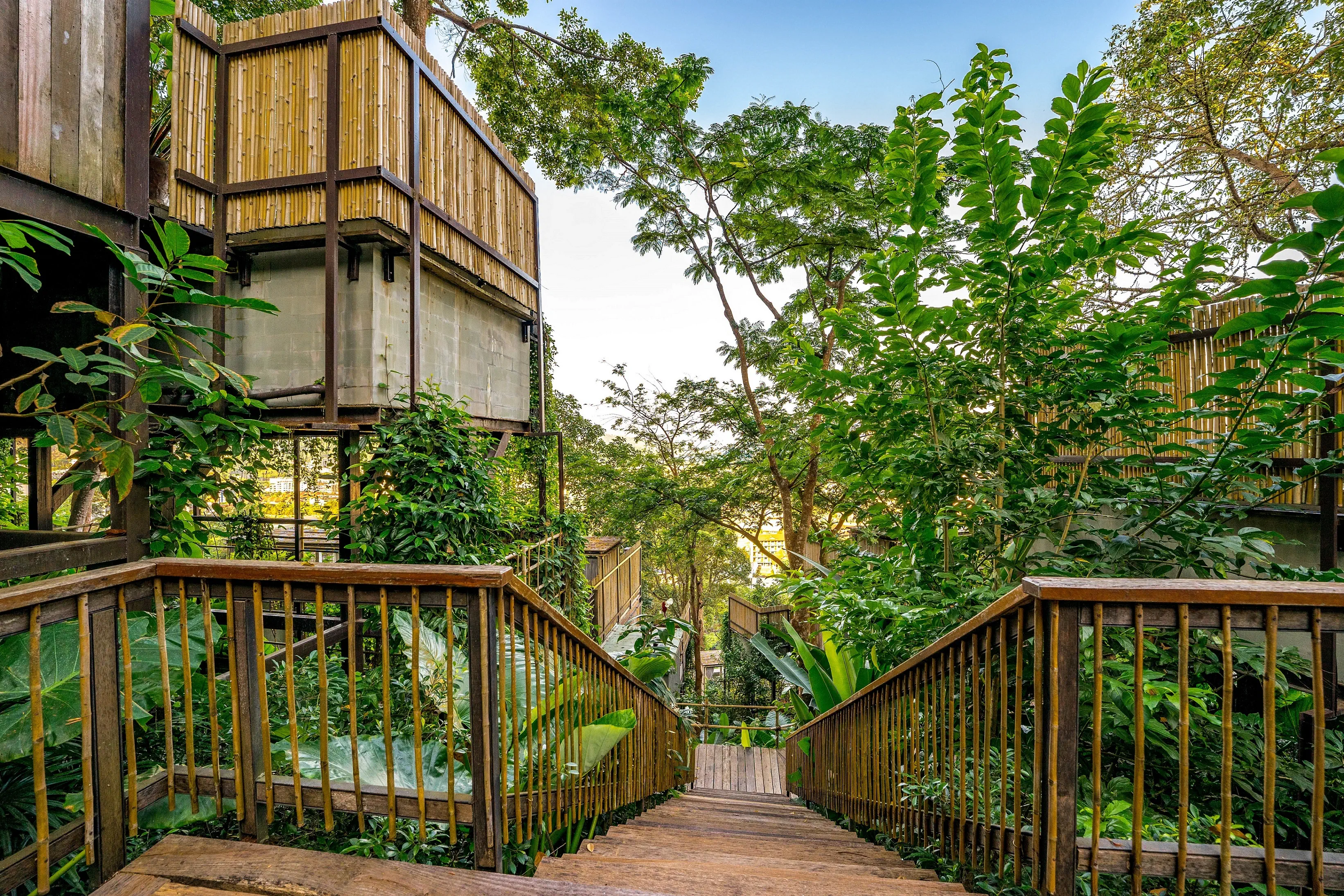 Dinso Resort - zdjęcie 16