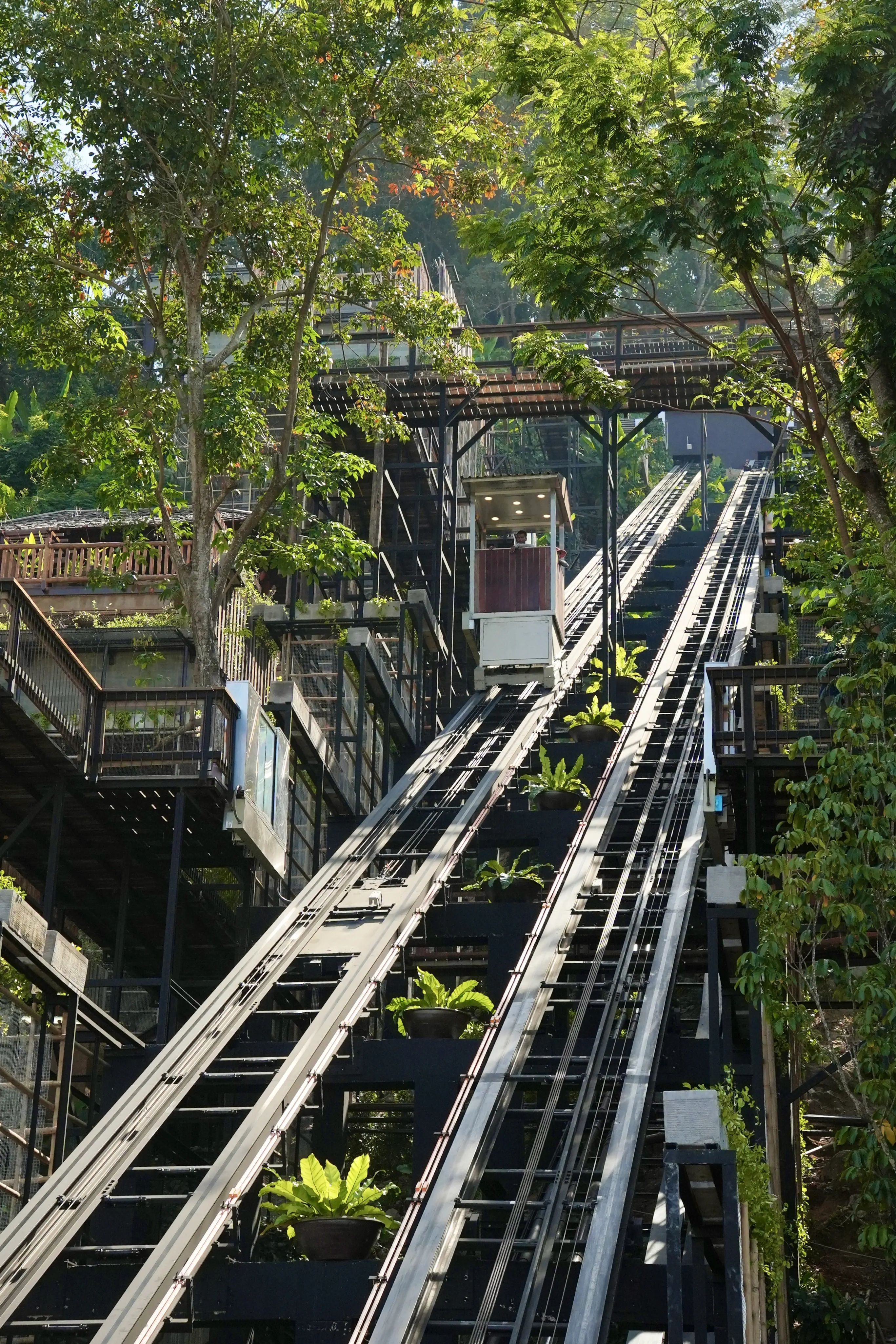 Dinso Resort - zdjęcie 13