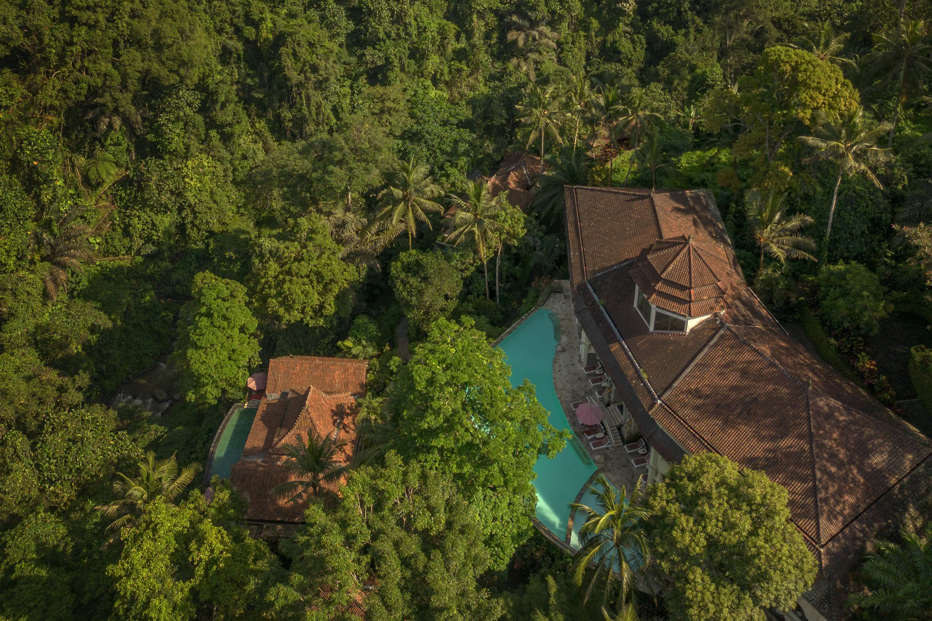 Ayung Resort Ubud - zdjęcie 4