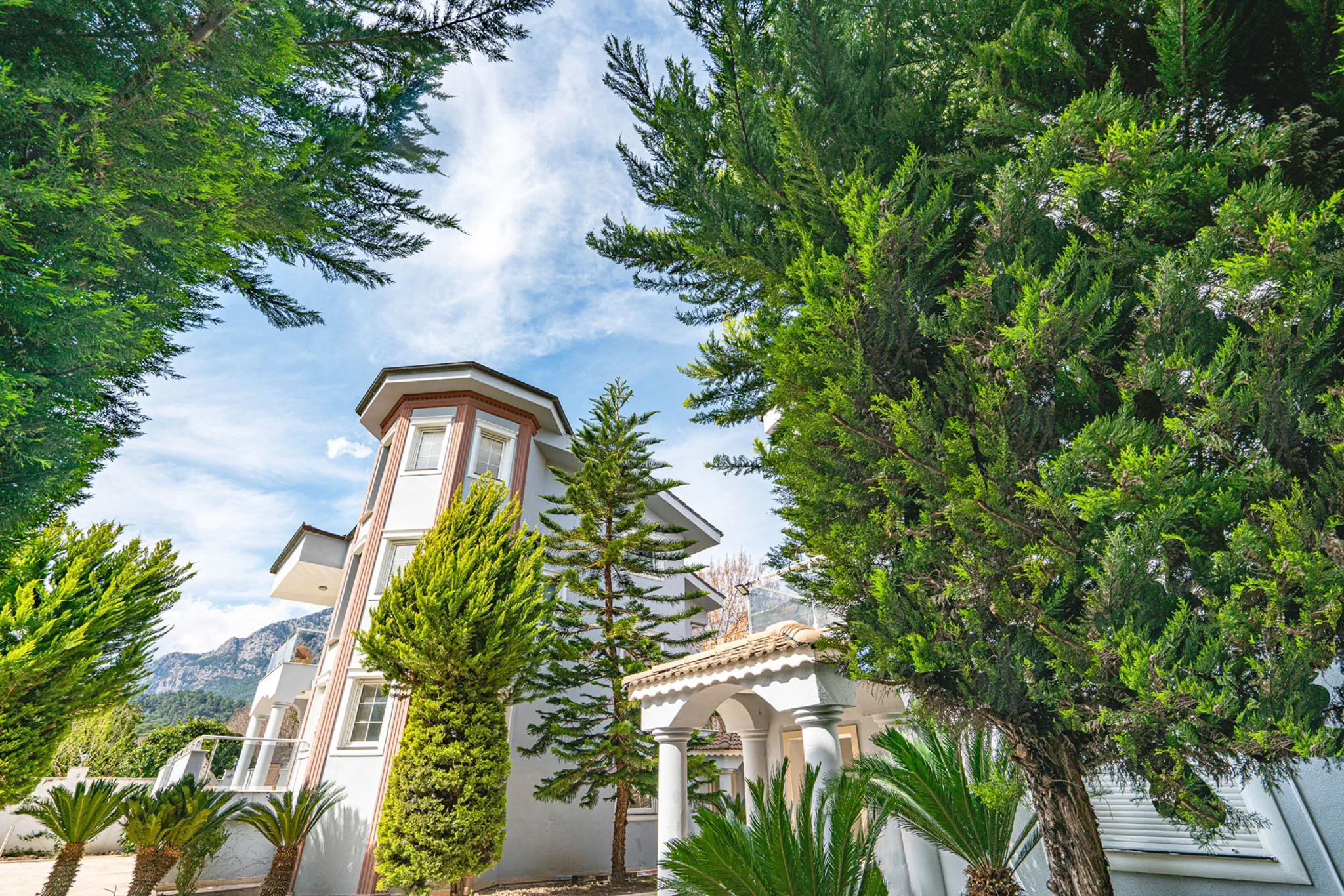 DG Rose Resort - zdjęcie 7