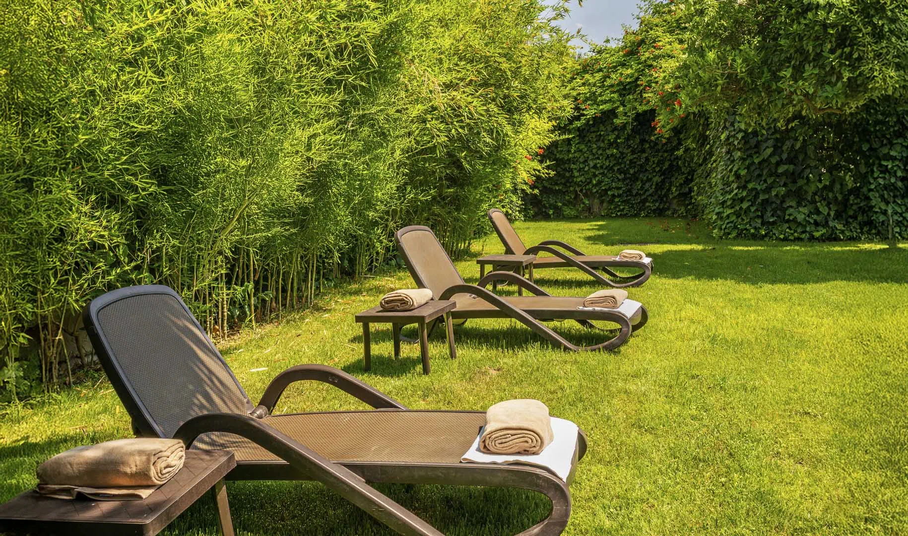 DG Rose Resort - zdjęcie 6